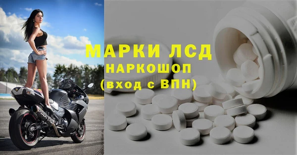 ПСИЛОЦИБИНОВЫЕ ГРИБЫ Алзамай