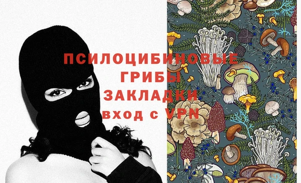 ПСИЛОЦИБИНОВЫЕ ГРИБЫ Алзамай