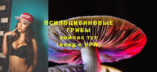 дживик Абинск