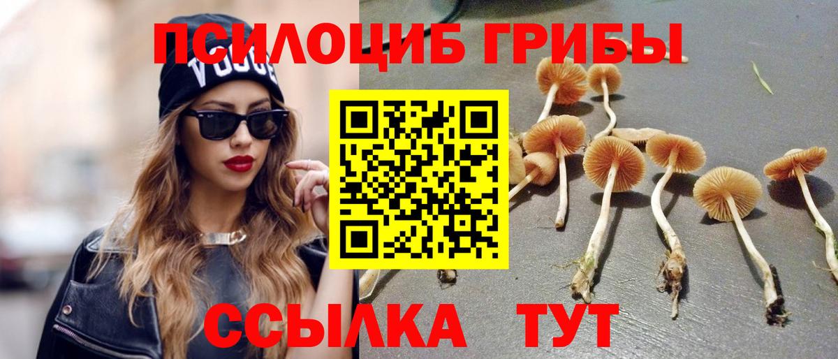 Галлюциногенные грибы ЛСД Коряжма